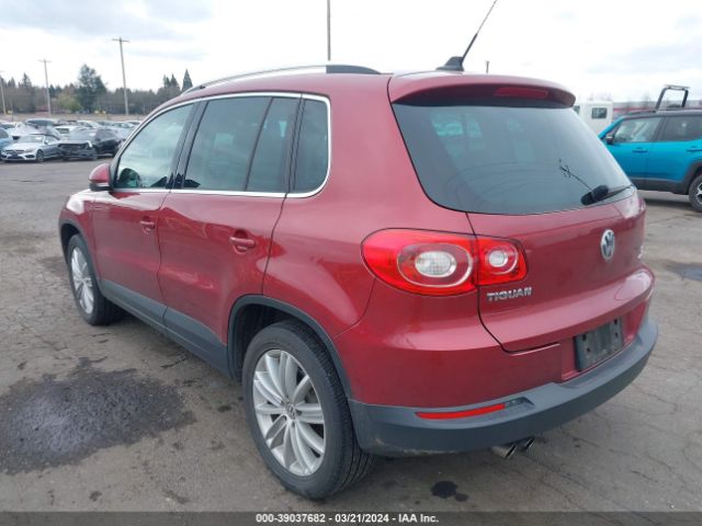 Photo 2 VIN: WVGBV7AX1BW000244 - VOLKSWAGEN TIGUAN 