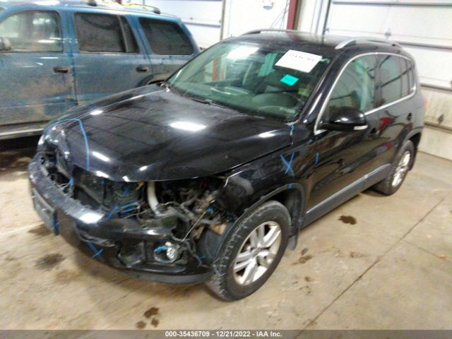 Photo 1 VIN: WVGBV7AX1FW504489 - VOLKSWAGEN TIGUAN 