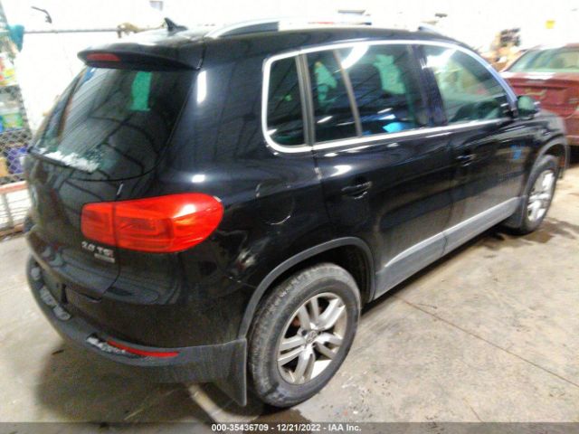 Photo 3 VIN: WVGBV7AX1FW504489 - VOLKSWAGEN TIGUAN 