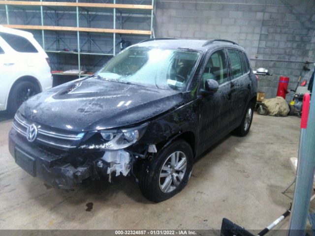 Photo 1 VIN: WVGBV7AX1GW551216 - VOLKSWAGEN TIGUAN 