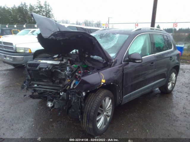 Photo 1 VIN: WVGBV7AX1GW577699 - VOLKSWAGEN TIGUAN 