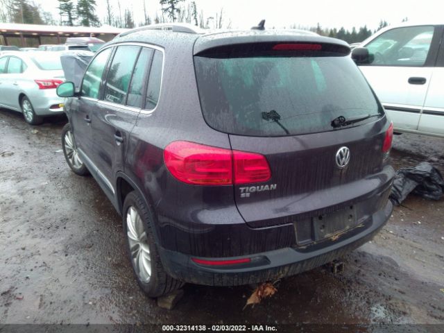 Photo 2 VIN: WVGBV7AX1GW577699 - VOLKSWAGEN TIGUAN 