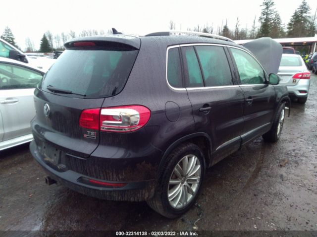 Photo 3 VIN: WVGBV7AX1GW577699 - VOLKSWAGEN TIGUAN 