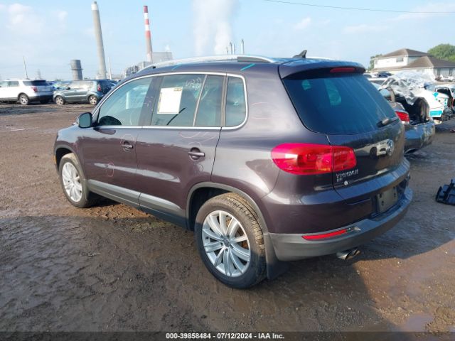 Photo 2 VIN: WVGBV7AX1GW585608 - VOLKSWAGEN TIGUAN 