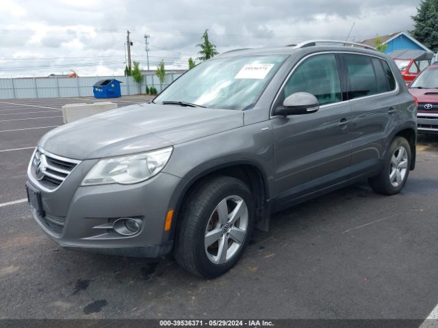 Photo 1 VIN: WVGBV7AX2AW528146 - VOLKSWAGEN TIGUAN 