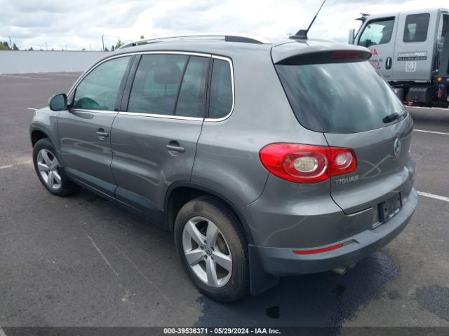 Photo 2 VIN: WVGBV7AX2AW528146 - VOLKSWAGEN TIGUAN 