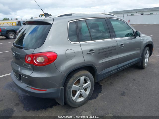 Photo 3 VIN: WVGBV7AX2AW528146 - VOLKSWAGEN TIGUAN 