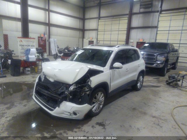 Photo 1 VIN: WVGBV7AX2BW503653 - VOLKSWAGEN TIGUAN 