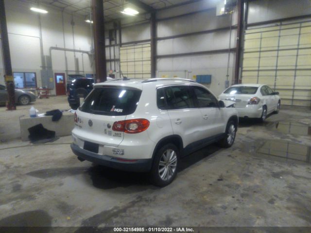 Photo 3 VIN: WVGBV7AX2BW503653 - VOLKSWAGEN TIGUAN 