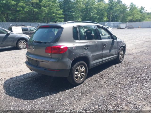 Photo 3 VIN: WVGBV7AX2GW577954 - VOLKSWAGEN TIGUAN 