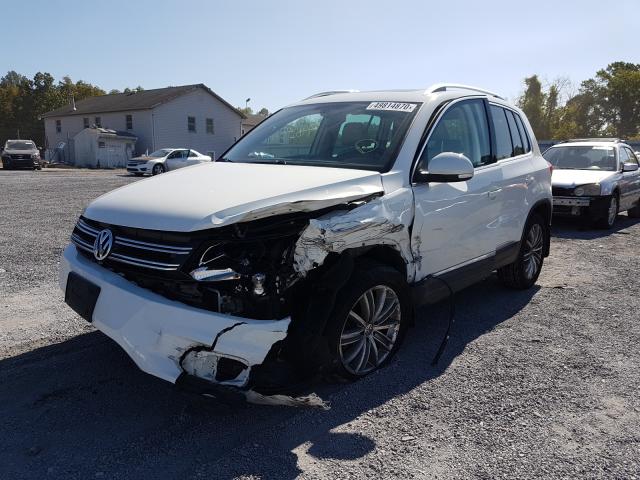 Photo 1 VIN: WVGBV7AX2GW590414 - VOLKSWAGEN TIGUAN 