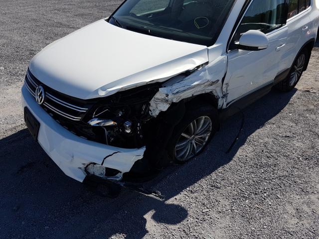 Photo 8 VIN: WVGBV7AX2GW590414 - VOLKSWAGEN TIGUAN 