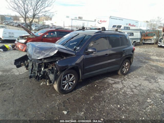 Photo 1 VIN: WVGBV7AX2GW599100 - VOLKSWAGEN TIGUAN 