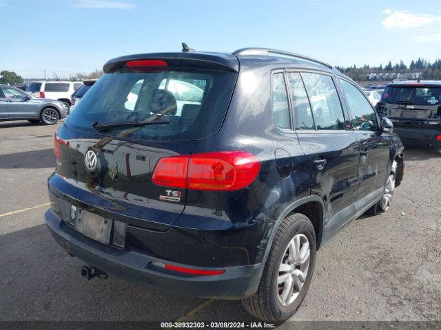 Photo 3 VIN: WVGBV7AX2HW504553 - VOLKSWAGEN TIGUAN 