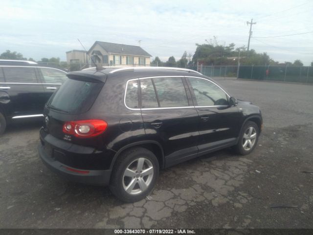 Photo 3 VIN: WVGBV7AX3AW513848 - VOLKSWAGEN TIGUAN 