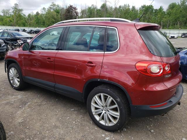 Photo 1 VIN: WVGBV7AX3BW000505 - VOLKSWAGEN TIGUAN 