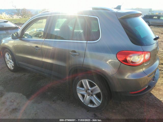 Photo 2 VIN: WVGBV7AX3BW515567 - VOLKSWAGEN TIGUAN 