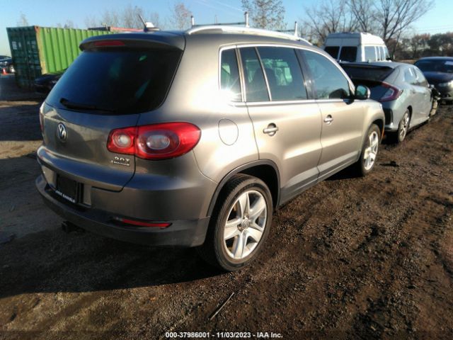 Photo 3 VIN: WVGBV7AX3BW515567 - VOLKSWAGEN TIGUAN 