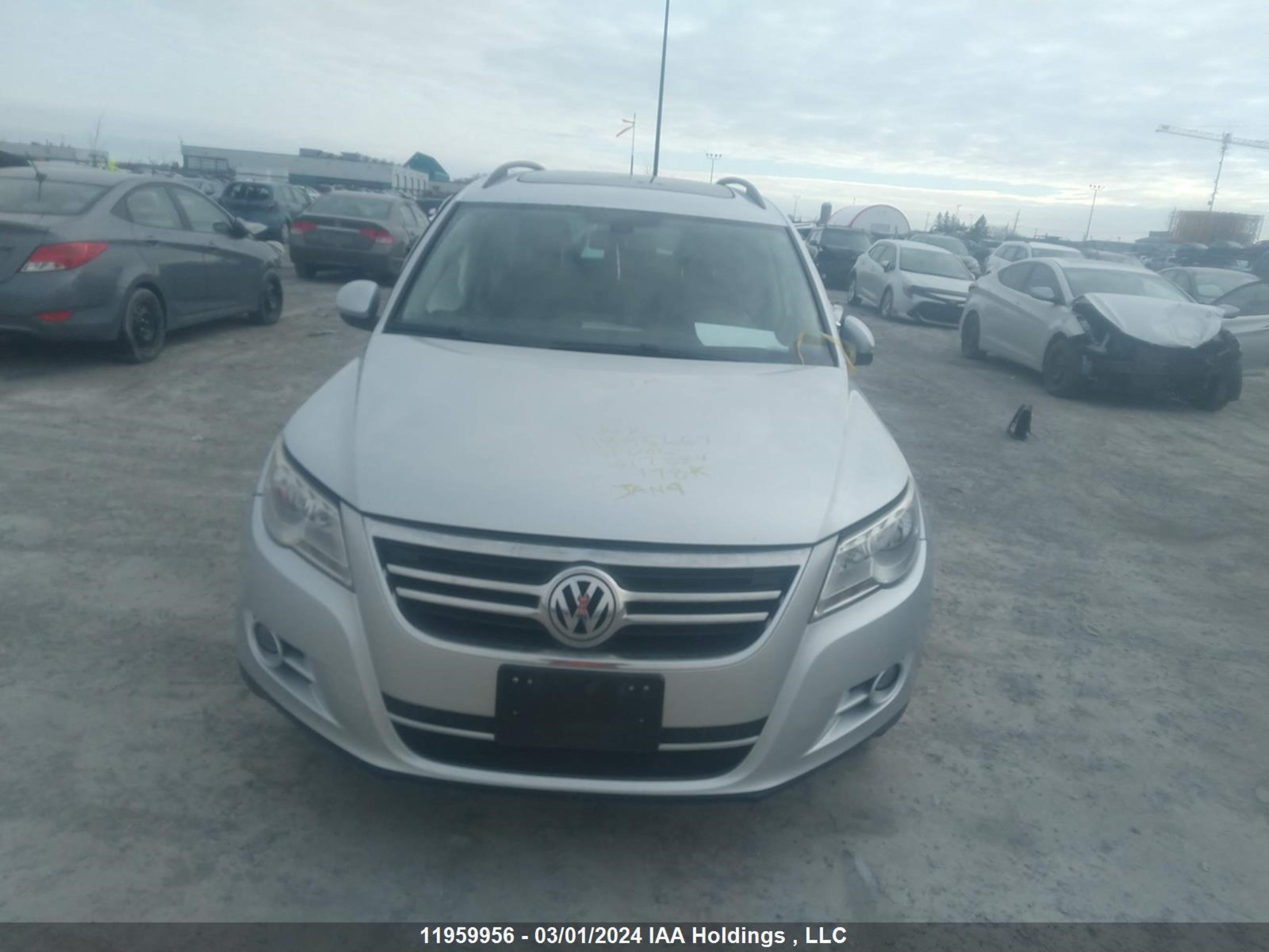 Photo 11 VIN: WVGBV7AX3BW517884 - VOLKSWAGEN TIGUAN 