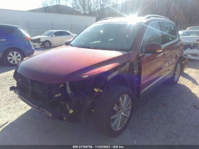 Photo 1 VIN: WVGBV7AX3CW078977 - VOLKSWAGEN TIGUAN 