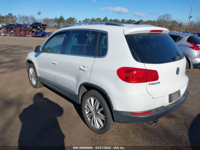 Photo 2 VIN: WVGBV7AX3FW504073 - VOLKSWAGEN TIGUAN 