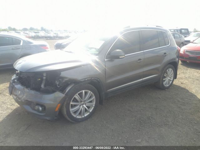 Photo 1 VIN: WVGBV7AX3FW545061 - VOLKSWAGEN TIGUAN 