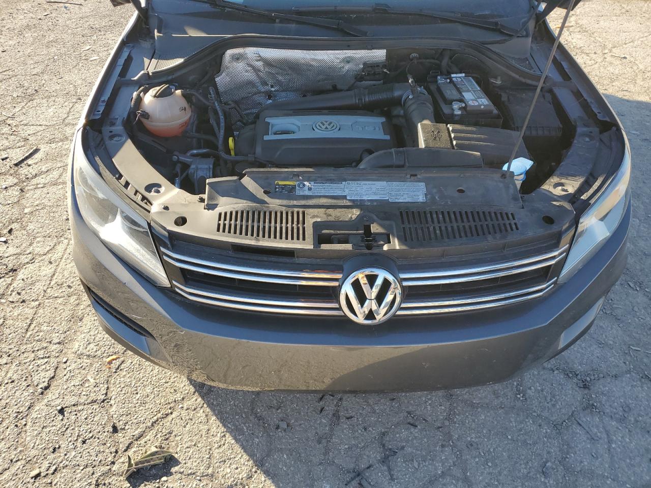 Photo 11 VIN: WVGBV7AX3GW574397 - VOLKSWAGEN TIGUAN 