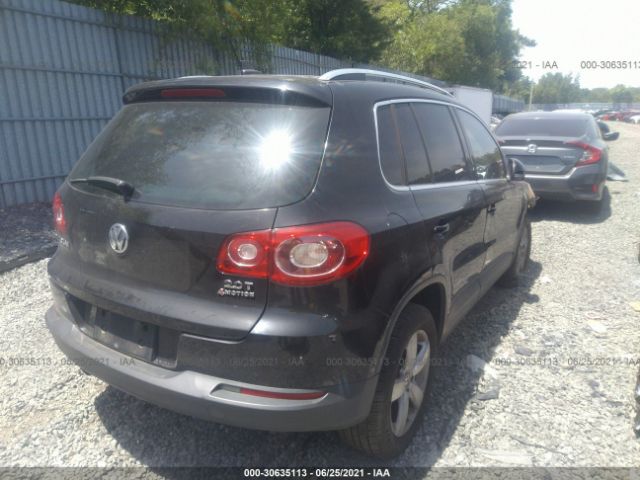 Photo 3 VIN: WVGBV7AX4AW526088 - VOLKSWAGEN TIGUAN 