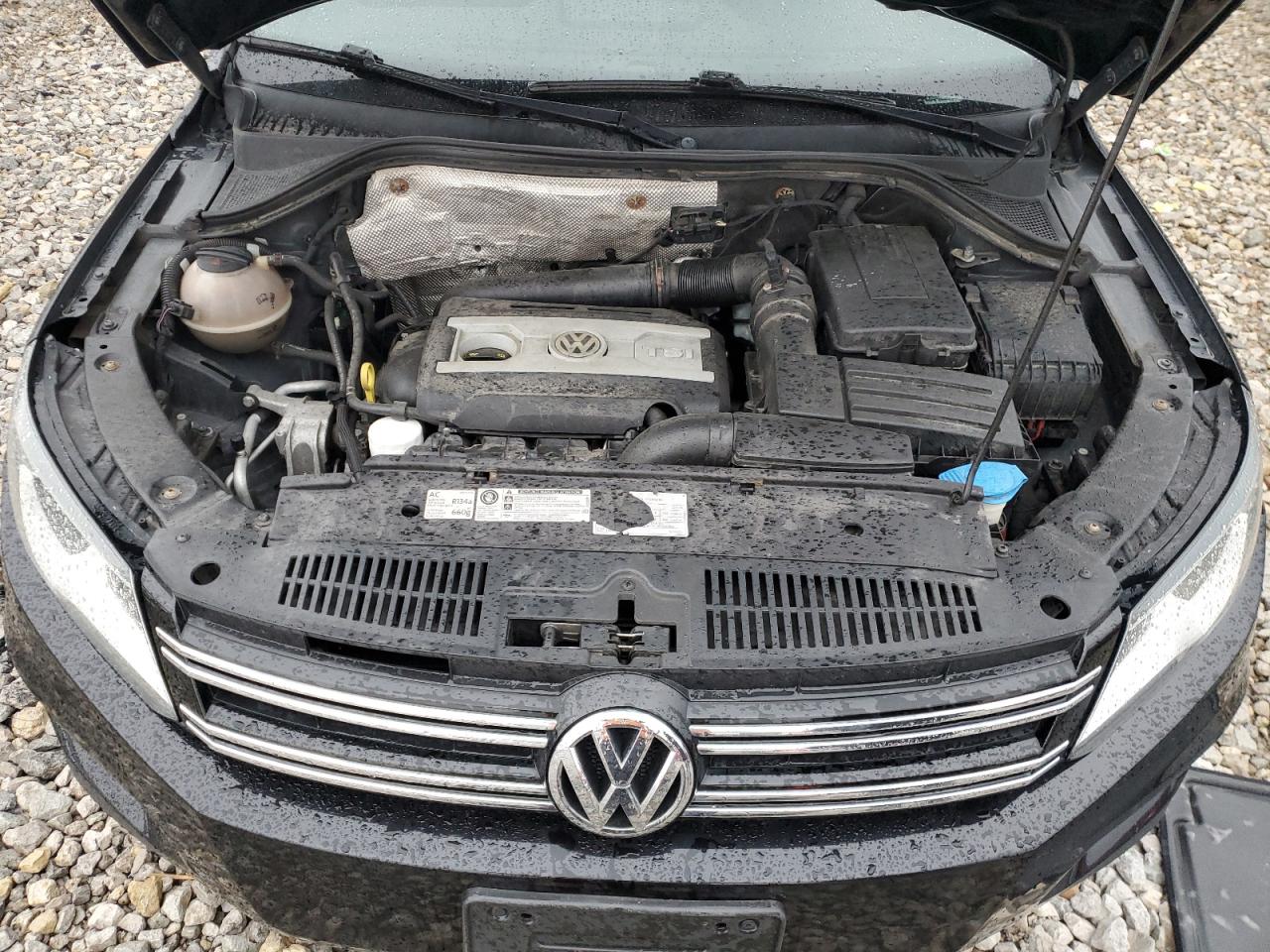 Photo 11 VIN: WVGBV7AX4FW561298 - VOLKSWAGEN TIGUAN 