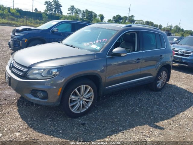 Photo 1 VIN: WVGBV7AX5GW608937 - VOLKSWAGEN TIGUAN 