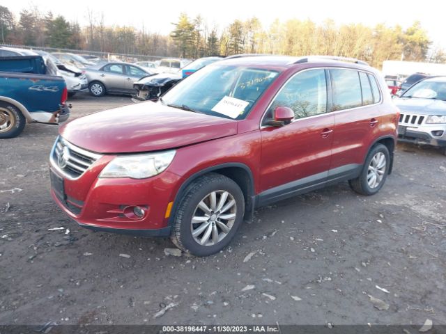 Photo 1 VIN: WVGBV7AX6BW000580 - VOLKSWAGEN TIGUAN 