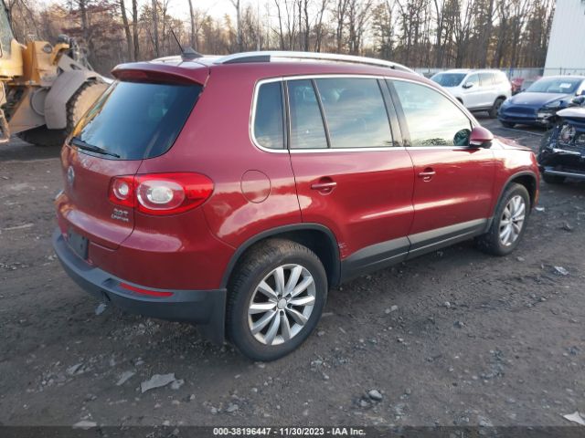 Photo 3 VIN: WVGBV7AX6BW000580 - VOLKSWAGEN TIGUAN 