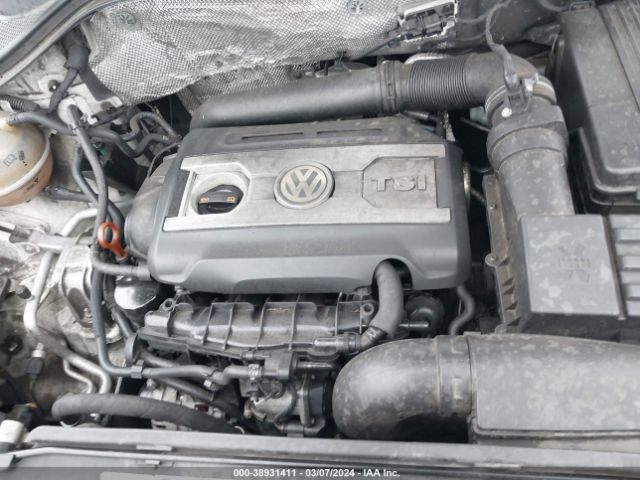 Photo 9 VIN: WVGBV7AX6DW515789 - VOLKSWAGEN TIGUAN 