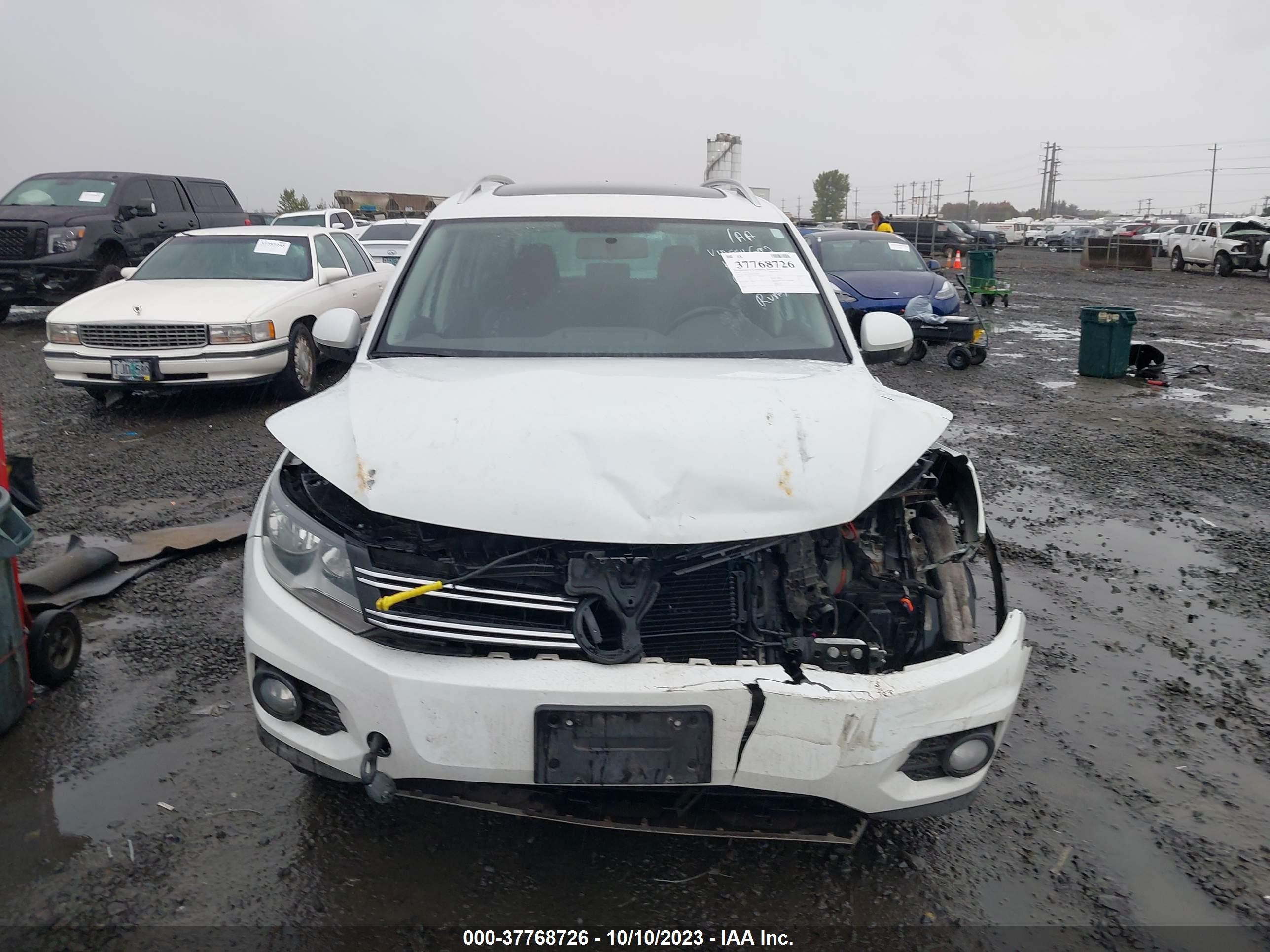 Photo 12 VIN: WVGBV7AX6FW554692 - VOLKSWAGEN TIGUAN 