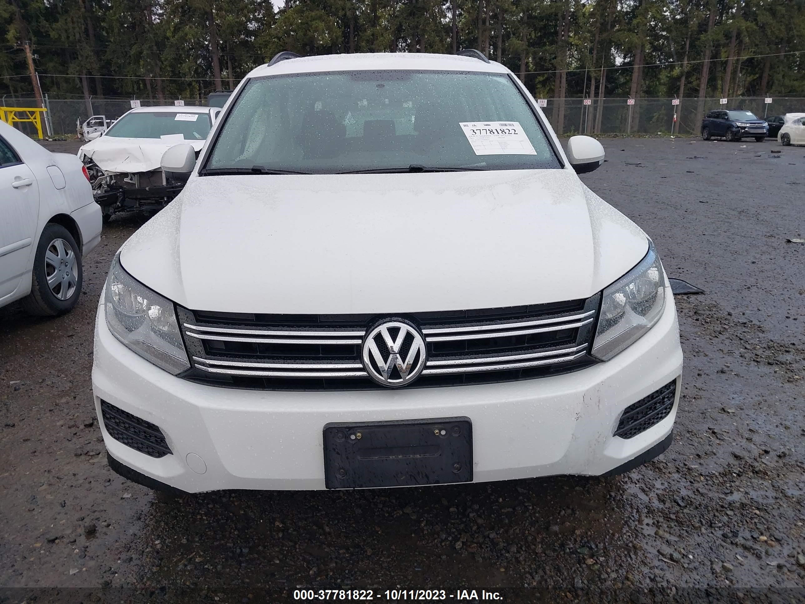 Photo 10 VIN: WVGBV7AX6HK044529 - VOLKSWAGEN TIGUAN 