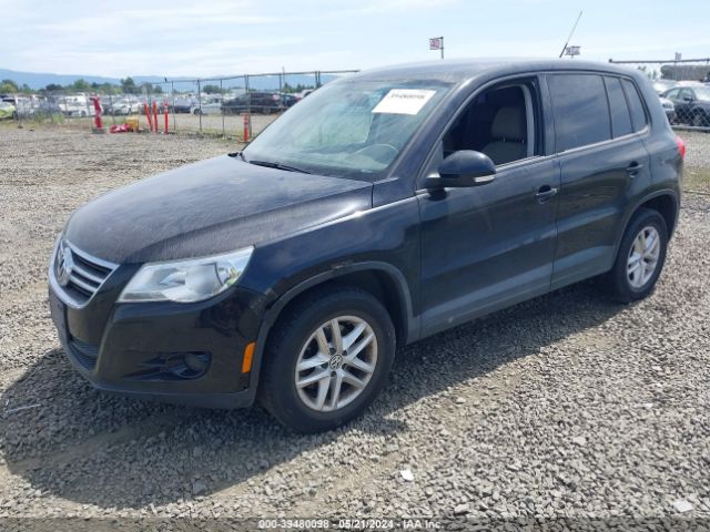 Photo 1 VIN: WVGBV7AX7BW537247 - VOLKSWAGEN TIGUAN 