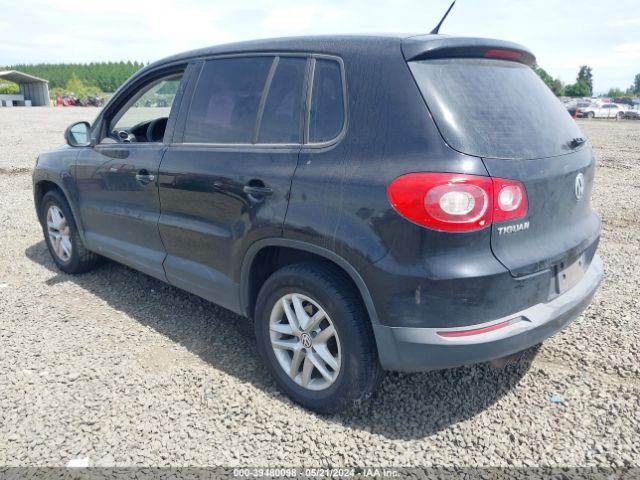 Photo 2 VIN: WVGBV7AX7BW537247 - VOLKSWAGEN TIGUAN 