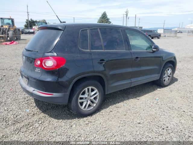 Photo 3 VIN: WVGBV7AX7BW537247 - VOLKSWAGEN TIGUAN 