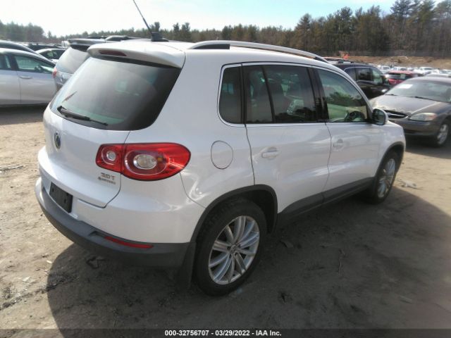 Photo 3 VIN: WVGBV7AX8AW531388 - VOLKSWAGEN TIGUAN 