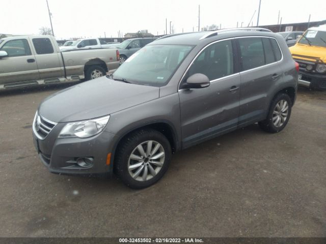 Photo 1 VIN: WVGBV7AX8BW555093 - VOLKSWAGEN TIGUAN 