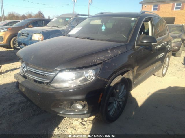 Photo 1 VIN: WVGBV7AX8CW509846 - VOLKSWAGEN TIGUAN 