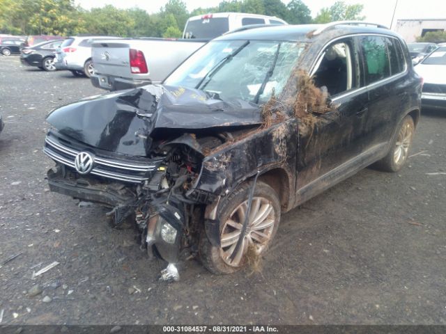 Photo 1 VIN: WVGBV7AX8FW603844 - VOLKSWAGEN TIGUAN 