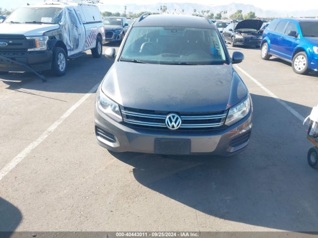 Photo 5 VIN: WVGBV7AX9GW512471 - VOLKSWAGEN TIGUAN 