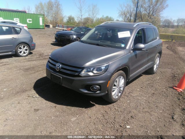 Photo 1 VIN: WVGBV7AX9GW554316 - VOLKSWAGEN TIGUAN 