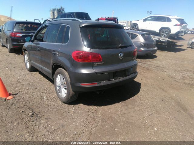 Photo 2 VIN: WVGBV7AX9GW554316 - VOLKSWAGEN TIGUAN 