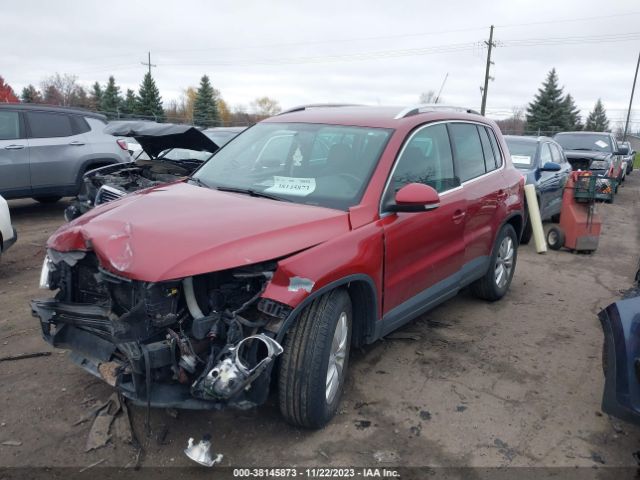 Photo 1 VIN: WVGBV7AXXBW000243 - VOLKSWAGEN TIGUAN 