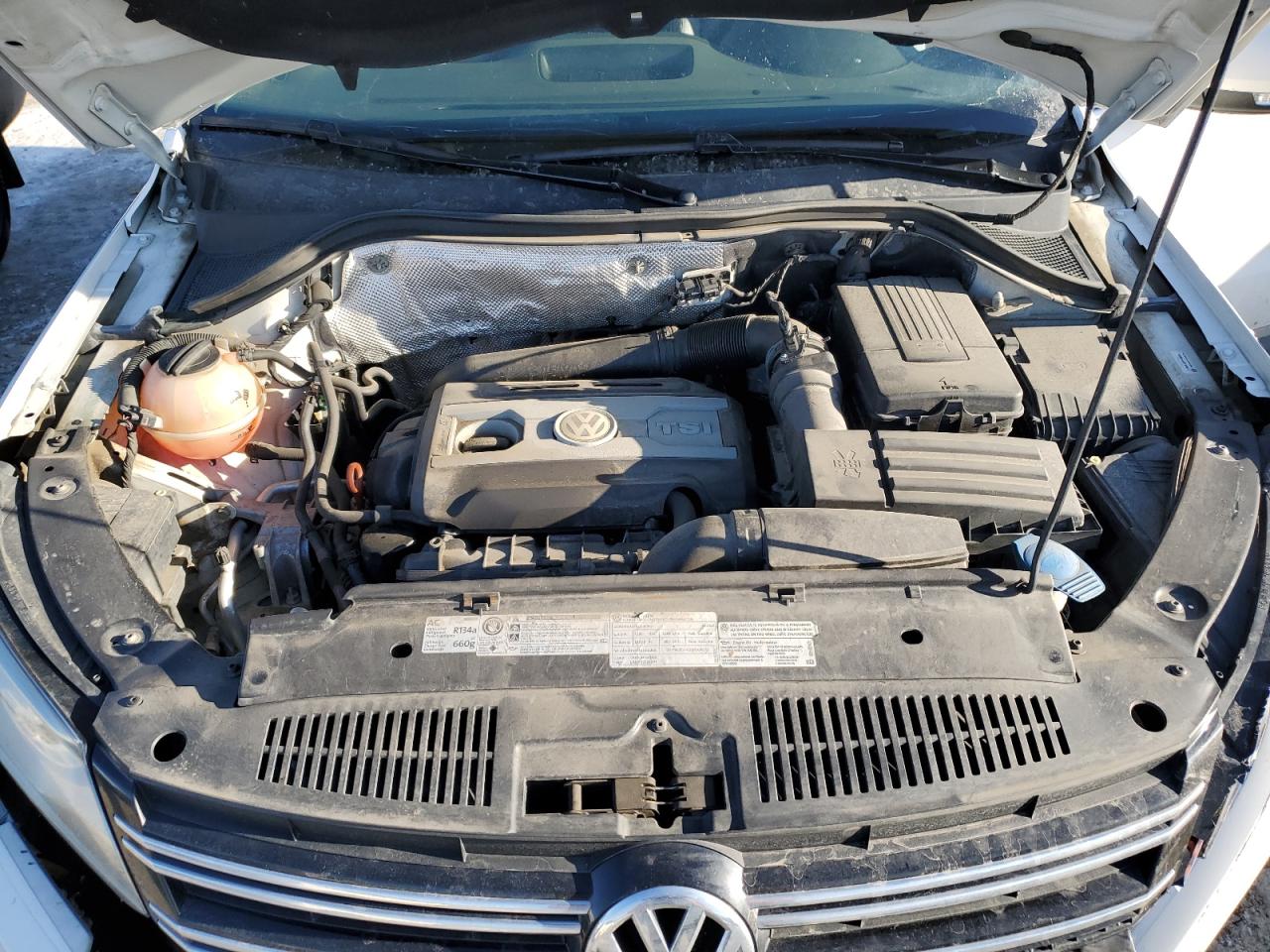 Photo 11 VIN: WVGBV7AXXCW553590 - VOLKSWAGEN TIGUAN 