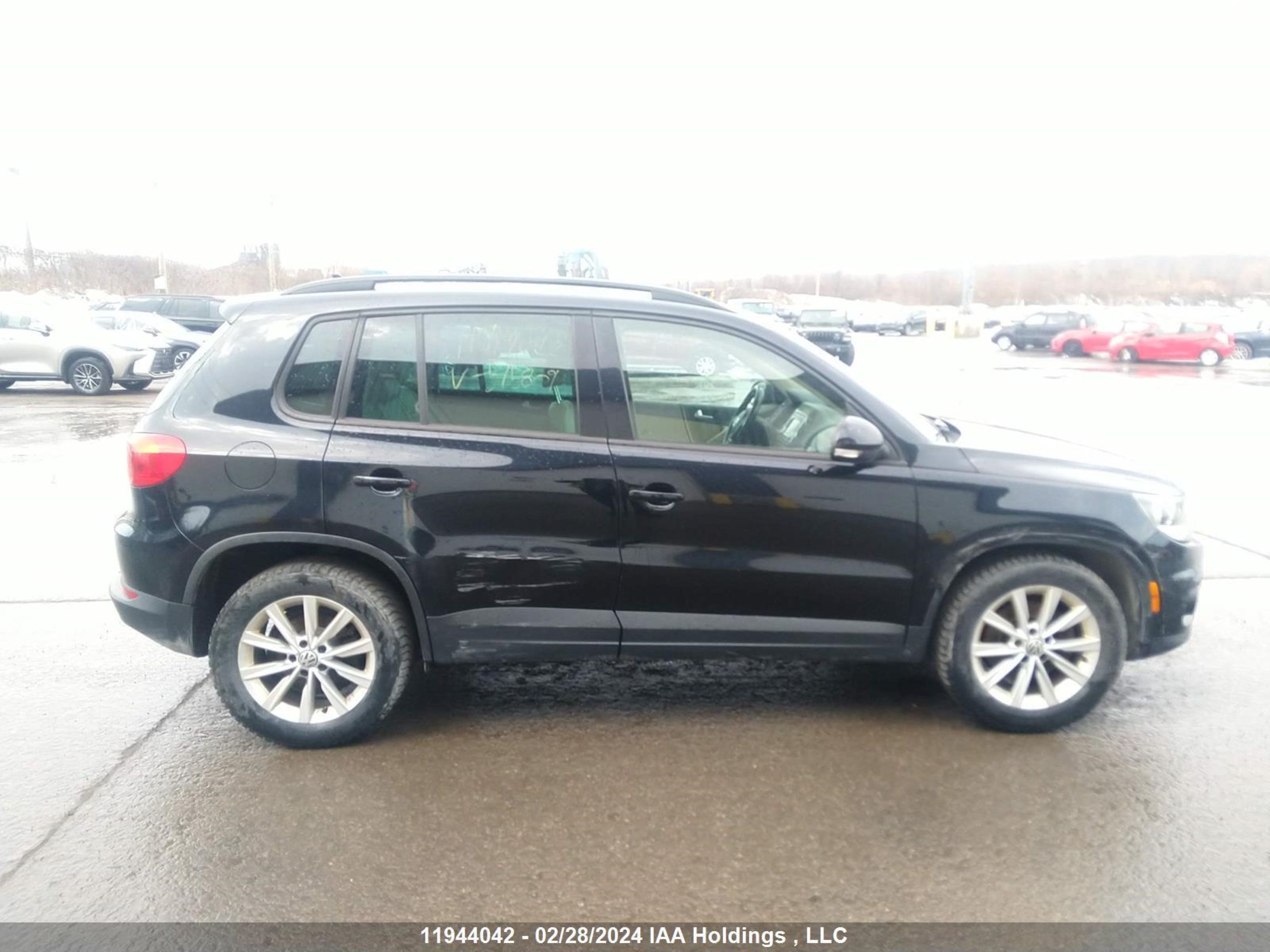 Photo 12 VIN: WVGJV3AX0EW515809 - VOLKSWAGEN TIGUAN 