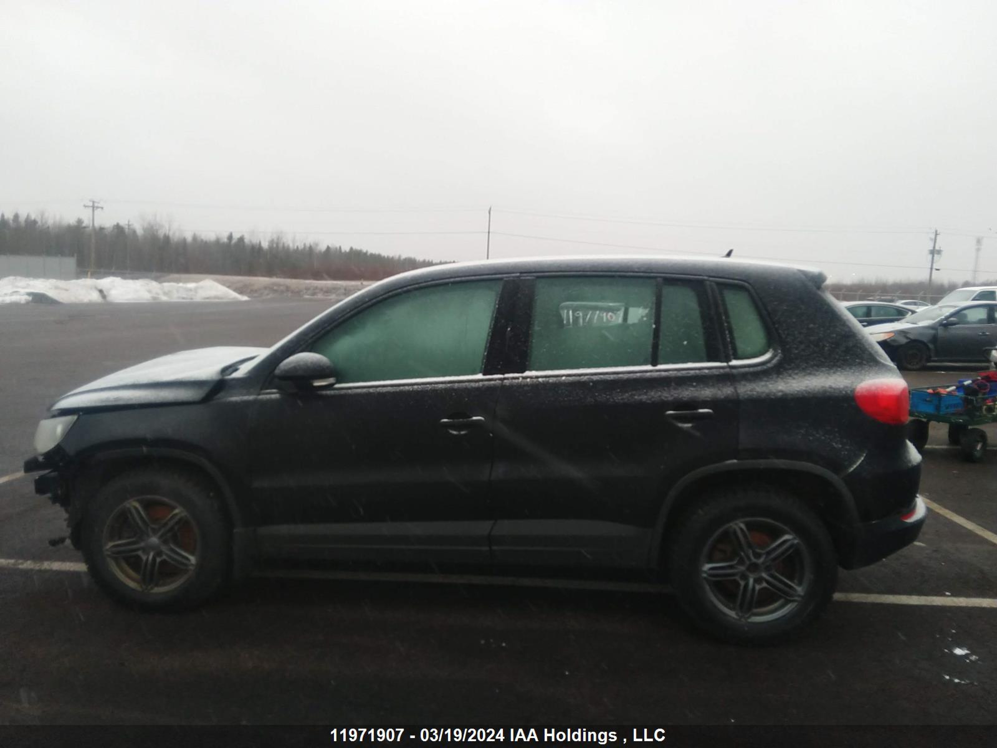 Photo 14 VIN: WVGJV3AX1DW582112 - VOLKSWAGEN TIGUAN 