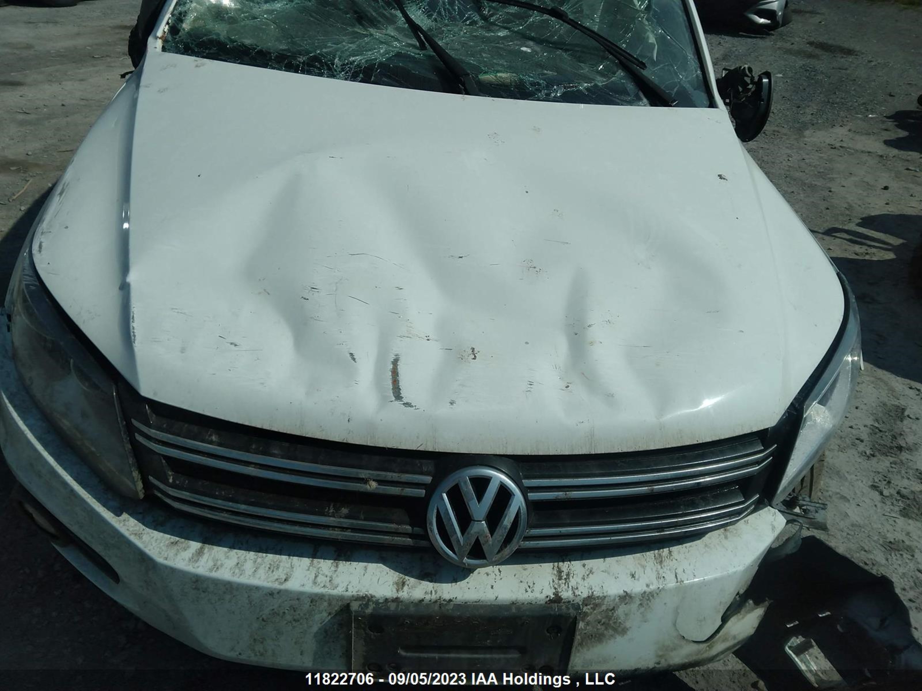 Photo 9 VIN: WVGJV3AX4EW617856 - VOLKSWAGEN TIGUAN 